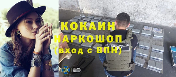 соль ск Арсеньев