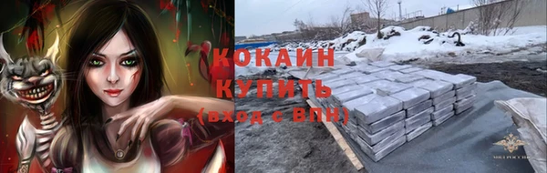 соль ск Арсеньев