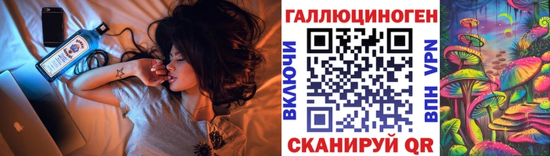 Галлюциногенные грибы Psilocybine cubensis  Белорецк 